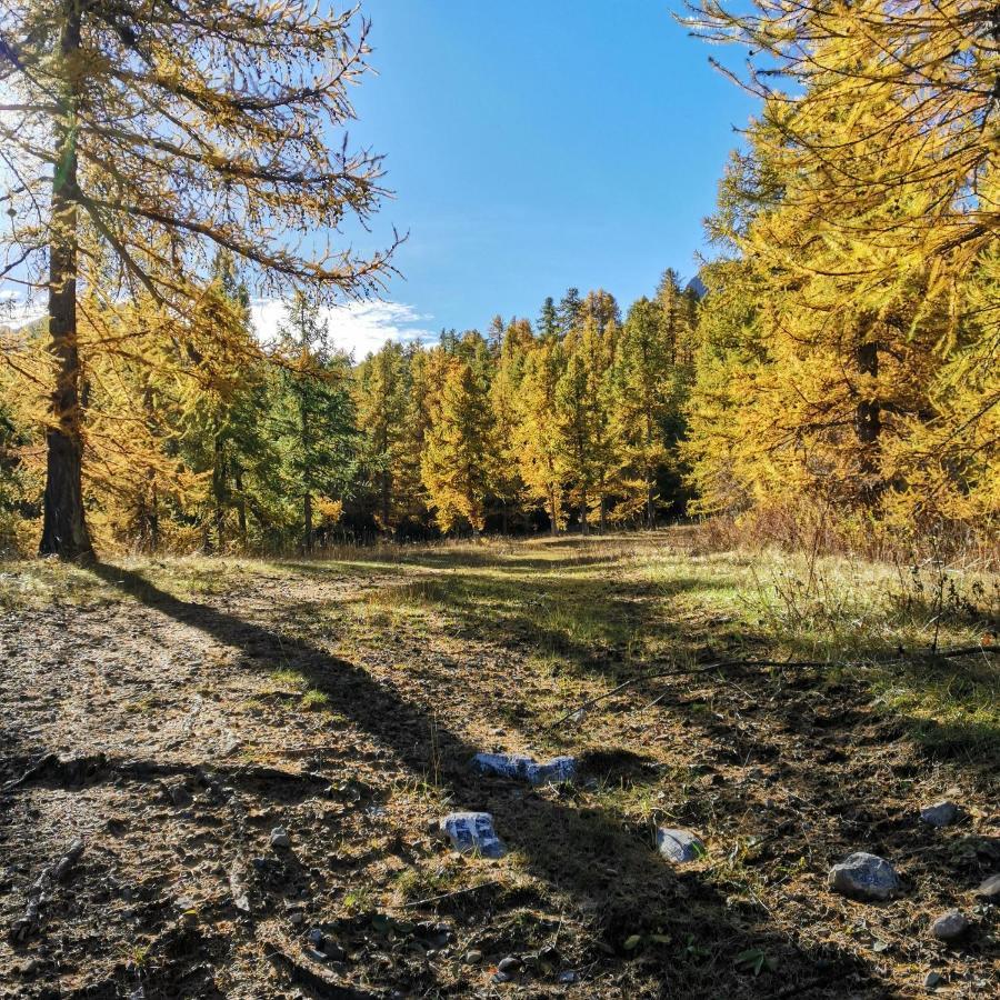 Appartement Pied Des Pistes Super Sauze Enchastrayes Zewnętrze zdjęcie
